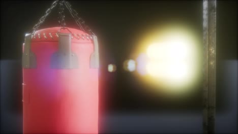 Punching-bag-for-boxing-or-kick-boxing-sport